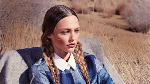 هذه المنطقة الزرقاء المفضلة هي طعام فائق الجودة مع فوائد البروبيوتيك