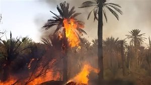 نار بمحيط الملعب الخماسي| إخماد حريق محدود بـ كلية التربية الرياضية بالعمرانية