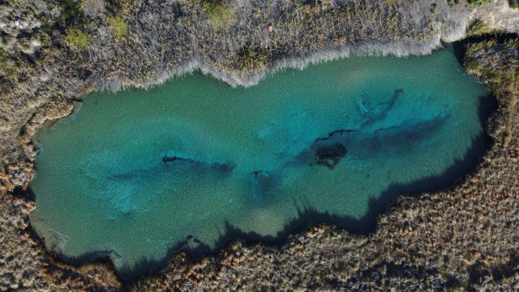 المياه من واحة الصحراء ذات الأهمية العلمية في المكسيك تستولي عليها الشركات الكبرى