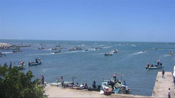 الدقهلية: تطوير شاطئ بحيرة المنزلة وإنشاء 3 موانئ صيد بالجمالية والمنزلة والمطرية