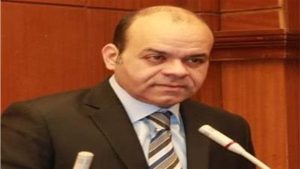 برلماني: تخصيص الرئيس 10 مليارات جنيه لصندوق تنمية الأسرة المصرية خطوة للمستقبل