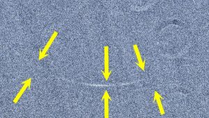 شاهد: رؤية هلال شهر شوال في الإمارات هذا الصباح قبيل عيد الفطر – خبر