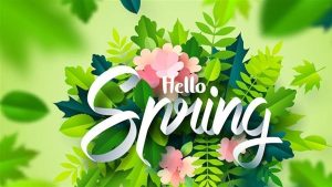 طقس مثالي لقضاء عطلة عيد الفطر.. والأرصاد تحذر من ظاهرة صباحية