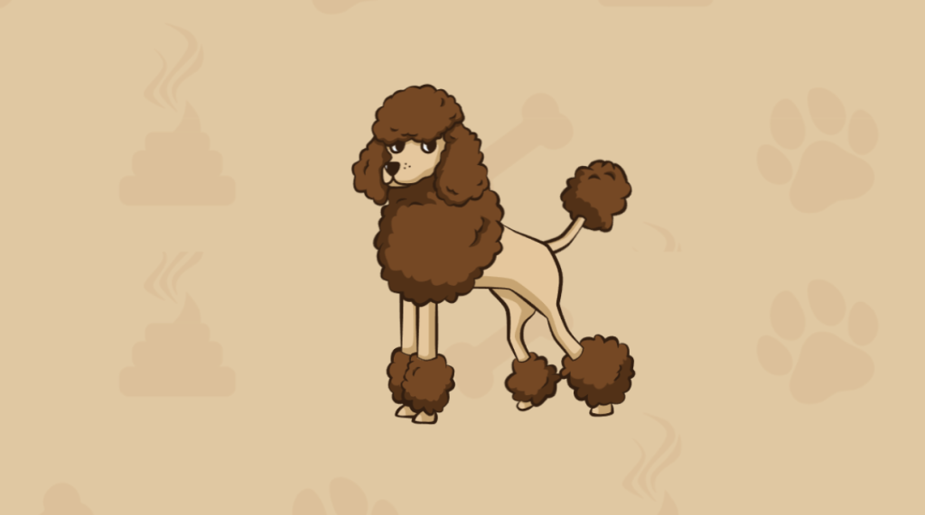 تنتهي عملية البيع المسبق لـ Poodle Inu (POODL) بجمع ما يقرب من 3 ملايين دولار أمريكي، وتكديس المليارات للحصول على مكافآت ضخمة