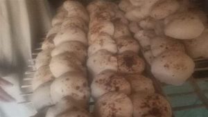 تحرير 12 مخالفة تموينية للمخابز بالأقصر