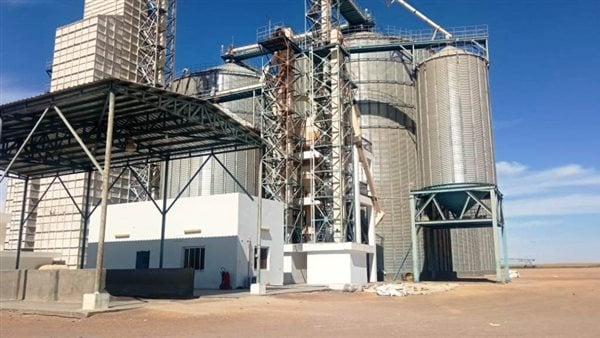 تموين أسوان: 7مواقع لتخزين 175ألف طن خلال موسم حصاد القمح الجديد وزيادة سعر توريد الأردب