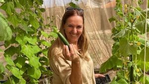 خضراوات أوربية “أورجانيك” في مزارع نويبع