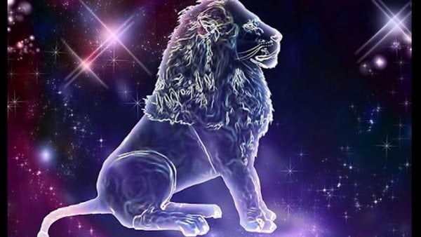 أفكار هدايا لرجل برج الأسد.. تعبر عن شخصيته وتحمسه للمغامرات