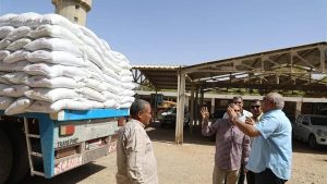 محافظ الوادي الجديد يتابع استكمال توزيع 250 طن سكر مدعم