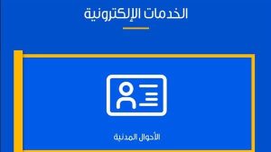 اطلبها من الانترنت .. لو محتاج شهادة ميلاد فى إجازة العيد