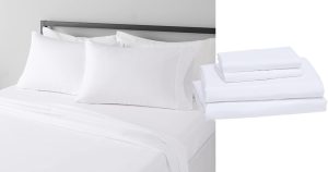 تبلغ تكلفة مجموعة أوراق Amazon Basics “الناعمة” هذه 16 دولارًا فقط – أكثر من 318000 مراجعة من فئة 5 نجوم