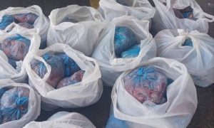أمانة جدة تحبط تهريب لحوم أضاحي فاسدة وتفكك 527 مسلخاً عشوائياً