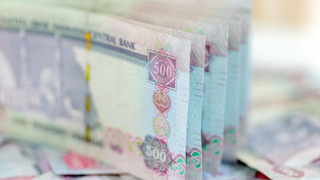أبوظبي تعلن عن قرض يصل إلى 500 ألف درهم للمواطنين الإماراتيين – أخبار