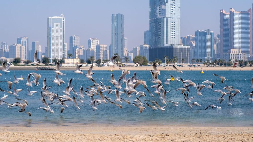 طقس الإمارات: سماء غائمة ودرجات حرارة أكثر برودة اليوم الأربعاء – أخبار