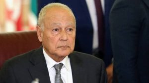 القضية الفلسطينية.. أبو الغيط: مصر تبذل جهدا كبيرا للحفاظ على القدرات العربية