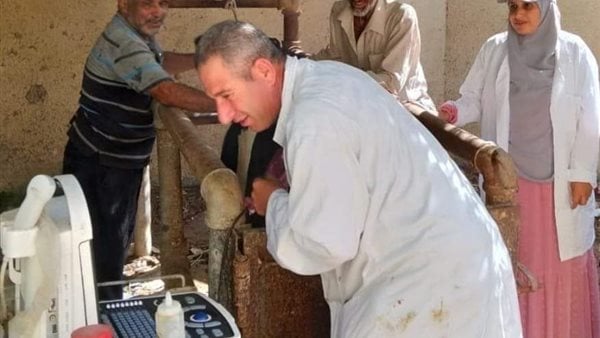 مسح تناسلي لـ 182 رأس لإناث الأبقار والجاموس في دمياط