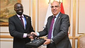 سويلم يبحث مع وزير الرى الكينى سُبل تعزيز التعاون فى مجال المياه