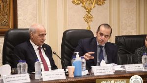 محمود فوزي يشارك في اجتماع تعليم النواب لمناقشة مشروع قانون إنشاء المجلس الوطني