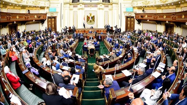 برلماني مستنكرا محاولات تشويه الدولة المصرية: بلادنا أقوى من أي أكاذيب