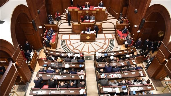 برلماني: تعديلات قانون الرياضة تهدف إلى تعزيز الاستثمار في القطاع
