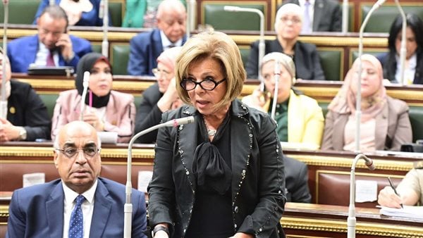 مشيرة خطاب: مجلس النواب أقر العديد من التشريعات الداعمة لملف حقوق الإنسان