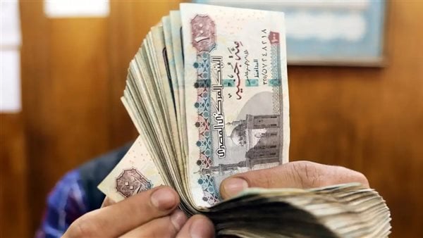 المعاش هيبقى شهري.. مفاجأة مبهجة لأعضاء 4 نقابات طبية