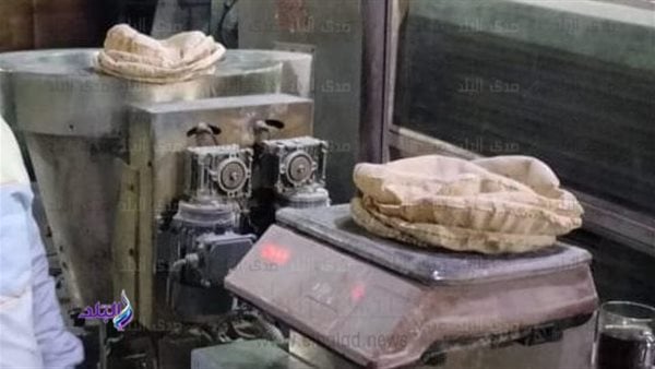 تحرير 28 محضرًا متنوعًا ضد المخابز المخالفة بكفر الشيخ