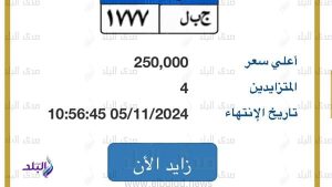 جبل .. لوحة مميزة للسيارات يصل سعرها لـ 250 ألف جنيه