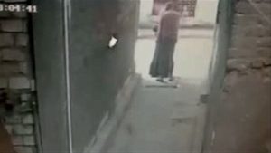 الداخلية تكشف حقيقة تعدي سيدة على طفل بالإسكندرية