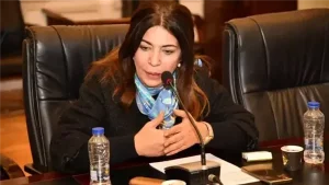 التجمع: مشروع الإجراءات الجنائية يحتاج لحوار مجتمعي تحت قبة البرلمان