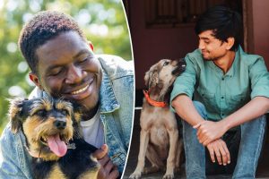 يدعي أصحاب الكلاب أن صحة الحيوانات الأليفة لا تقل أهمية