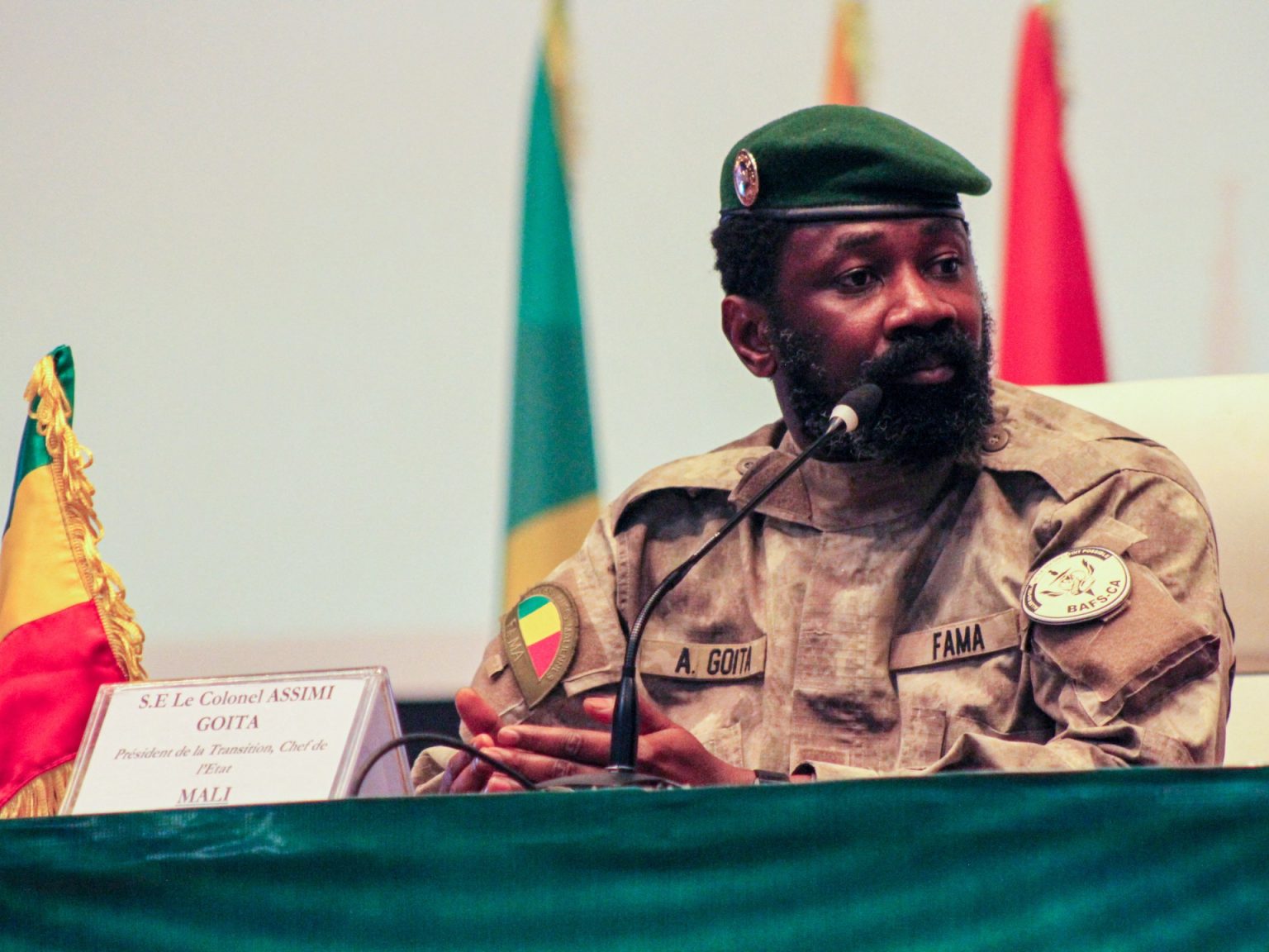 تعلق الحكومة العسكرية في مالي أنشطة الأحزاب السياسية