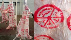 “بناكل لحمة كتير فى الشتاء”.. مفاجأة فى أسعار اللحوم