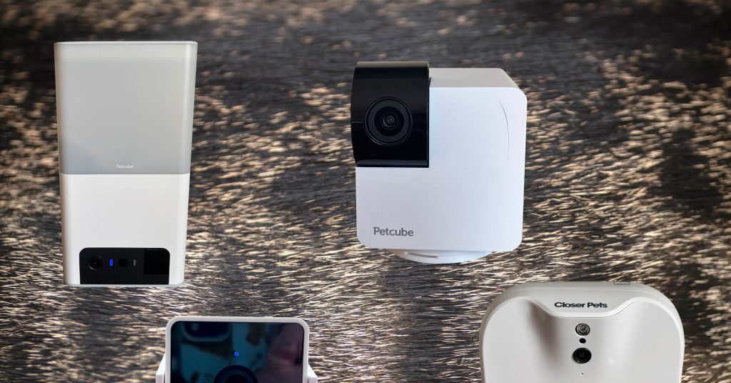 أفضل كاميرات الحيوانات الأليفة