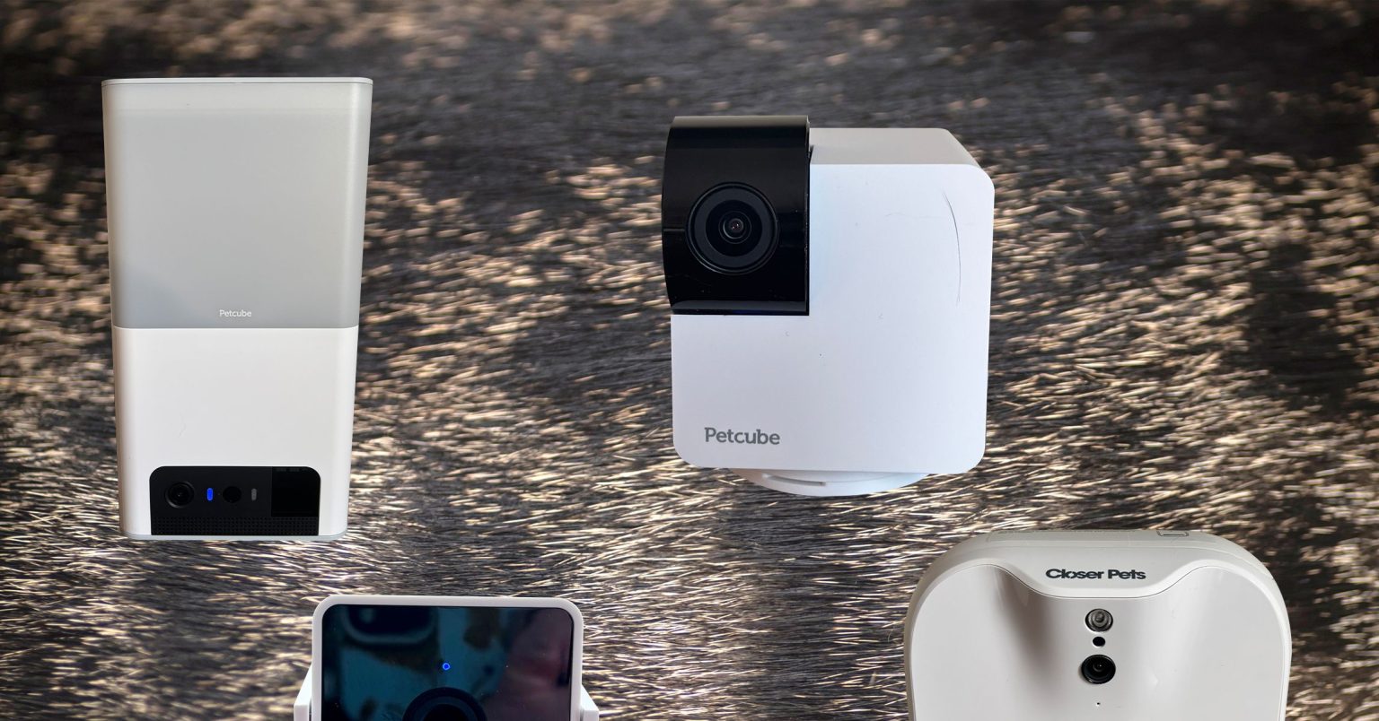 أفضل كاميرات الحيوانات الأليفة