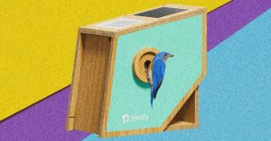 مراجعة: Birdfy Nest Polygon Smart Birdhouse