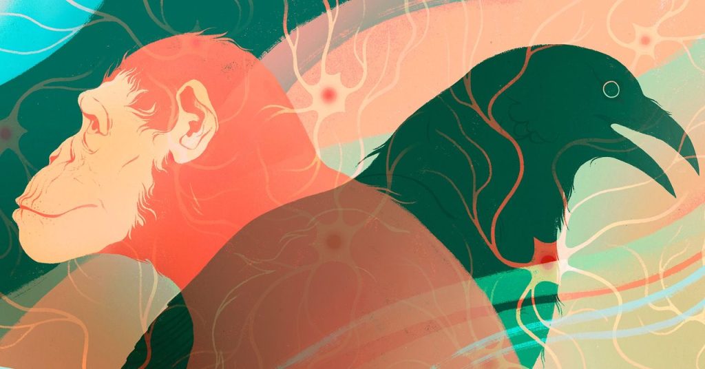 تطورت الذكاء على الأرض بشكل مستقل مرتين على الأقل