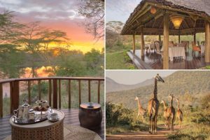 تقدم Finch Hattons مغامرات سفاري فاخرة لا تنسى في كينيا