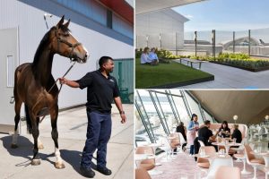 دليل البقاء على قيد الحياة JFK: 4 اكتشافات Secret في مطار NYC الأكثر ازدحامًا