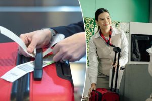 صدم راكب الخطوط الجوية عندما يرفض الوكيل حقيبة فحص لسبب “غريب”