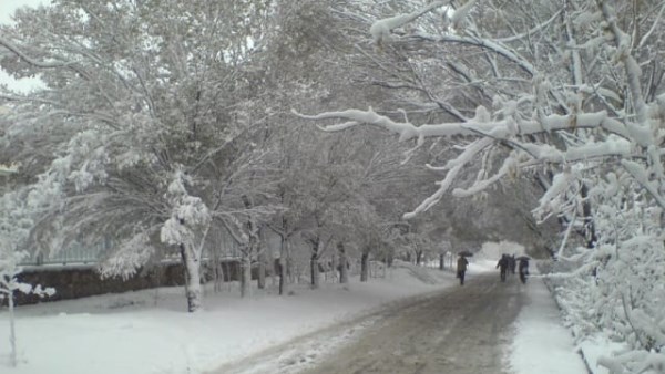 العلماء يحذرون من شتاء قارص قد يضرب أوروبا