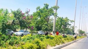 تتراوح بين 5 و20 جنيهًا.. ياسر أسعد: الحدائق استعدت بشكل مبكر لاستقبال المواطنين