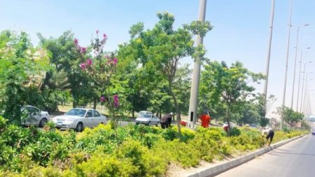 تتراوح بين 5 و20 جنيهًا.. ياسر أسعد: الحدائق استعدت بشكل مبكر لاستقبال المواطنين