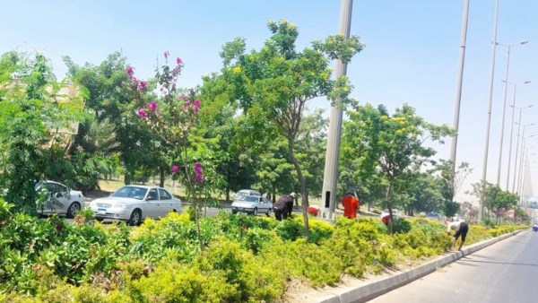 تتراوح بين 5 و20 جنيهًا.. ياسر أسعد: الحدائق استعدت بشكل مبكر لاستقبال المواطنين