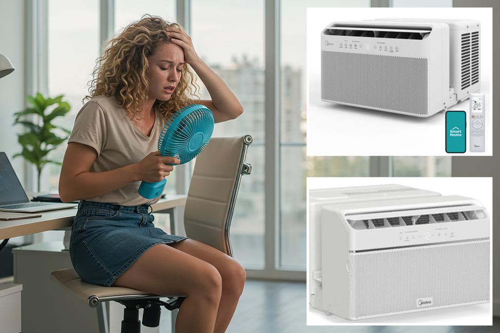 تم استدعاء وحدات AC الشائعة بسبب نمو العفن