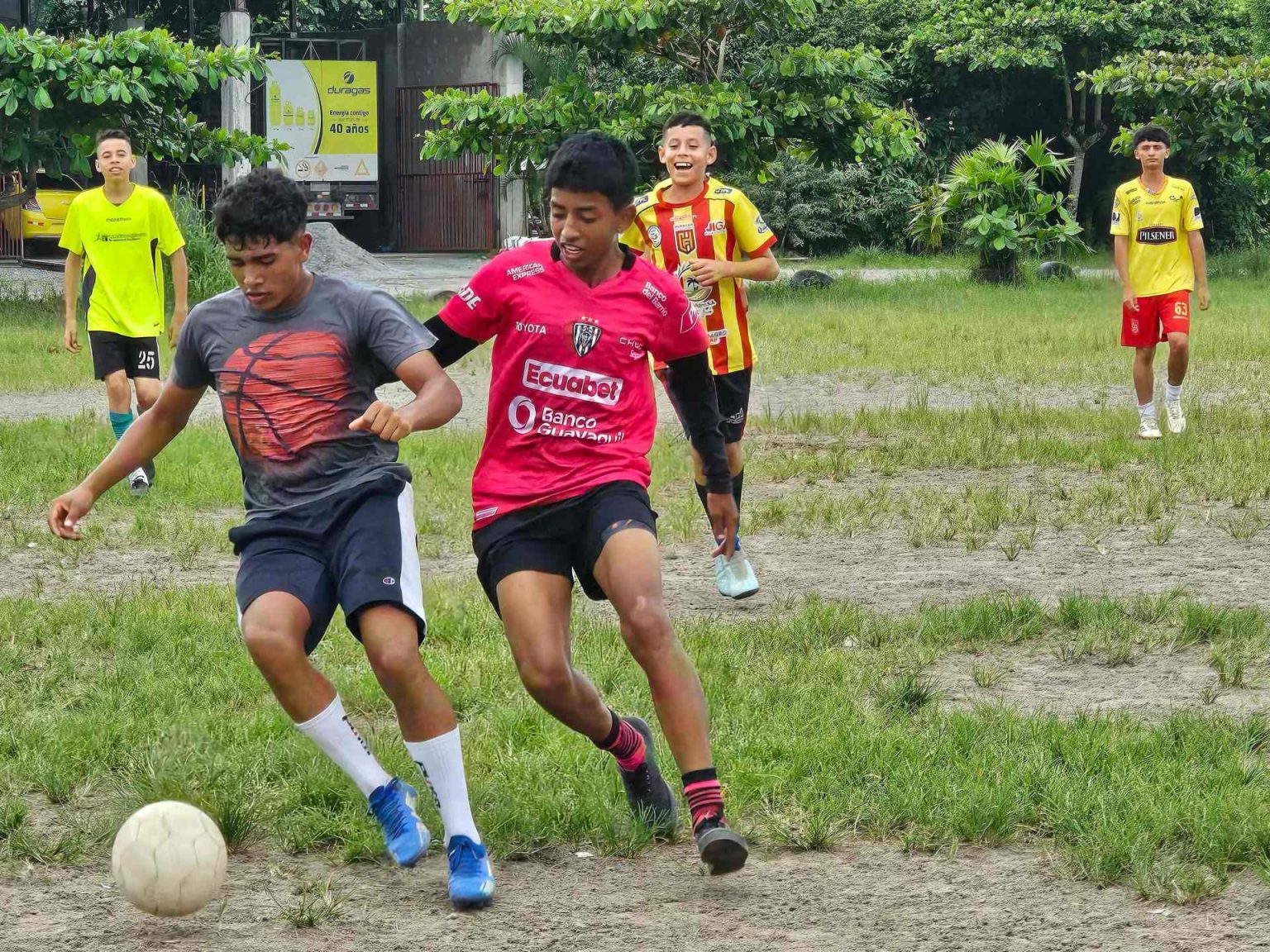 رايتس ووتش: قانون جديد بالإكوادور يُعرّض الأطفال للخطر