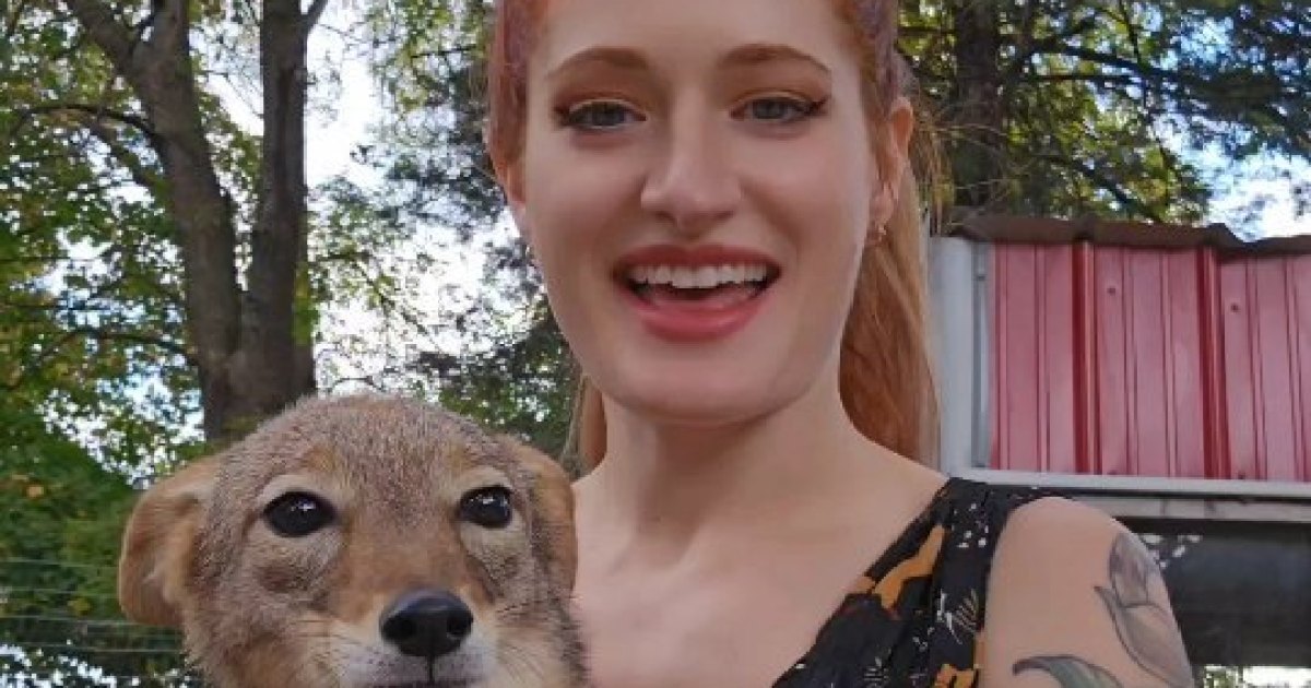 يموت YouTuber Mikayla Raines بالانتحار بعد التنمر عبر الإنترنت: الزوج