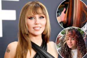 يلتهم اتجاه “شعر كاليكو” لافتة للنظر من القطط