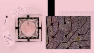 داخل المختبر البريطاني ينمو جهاز كمبيوتر بيولوجي