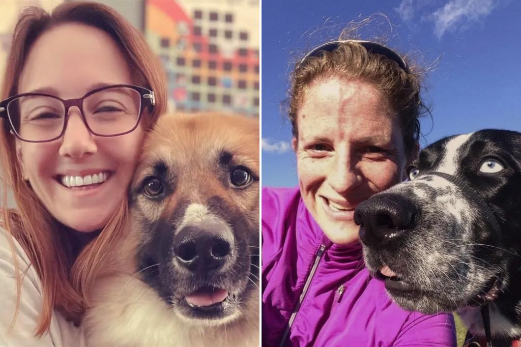 أسباب وعلاج قلق الحيوانات الأليفة